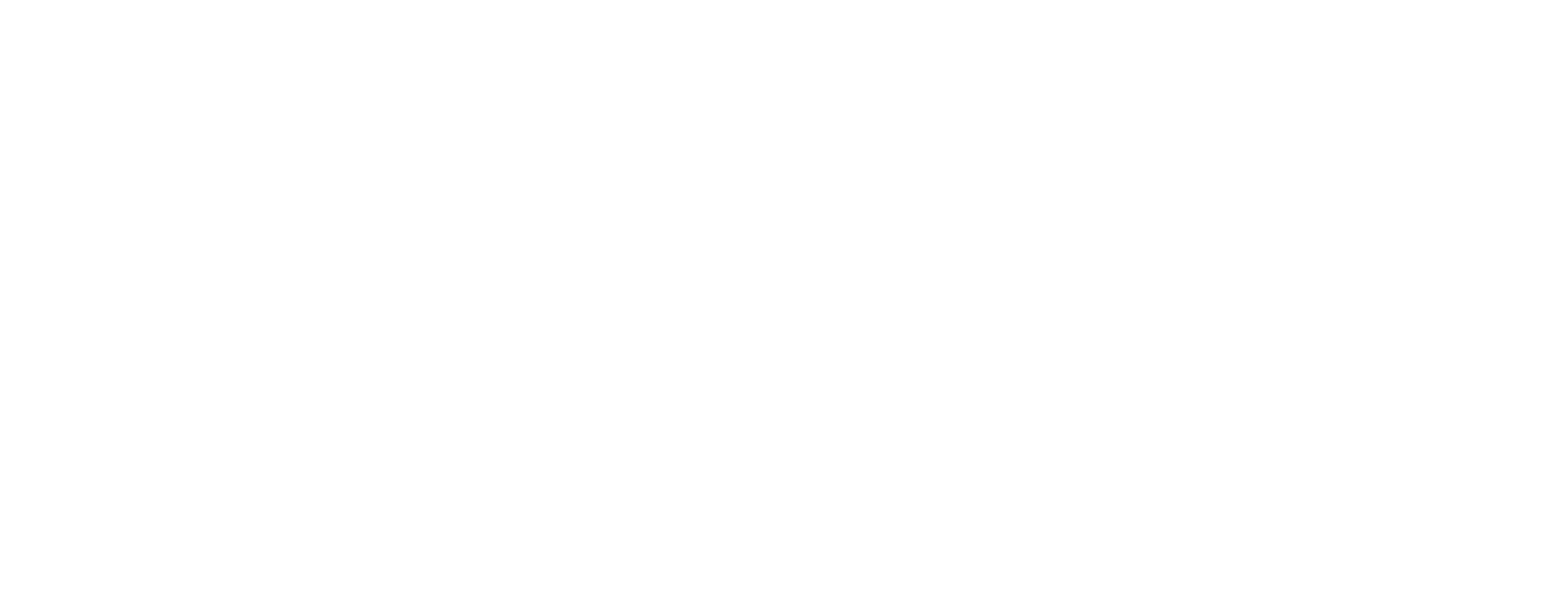 Customer Logo